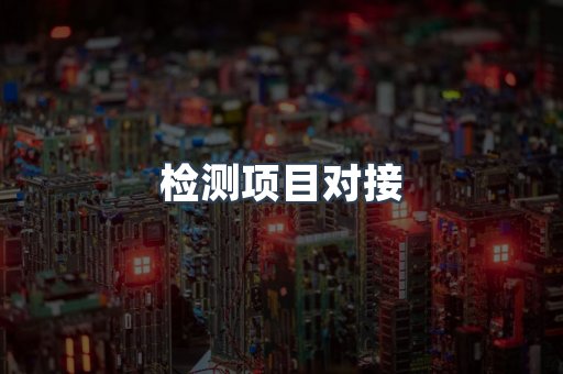 检测项目对接